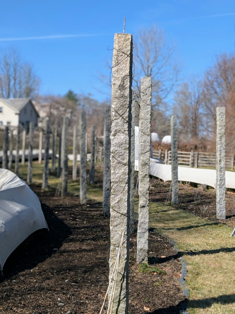 Bare antique granite posts standing in a row after the old pergola beams were removed