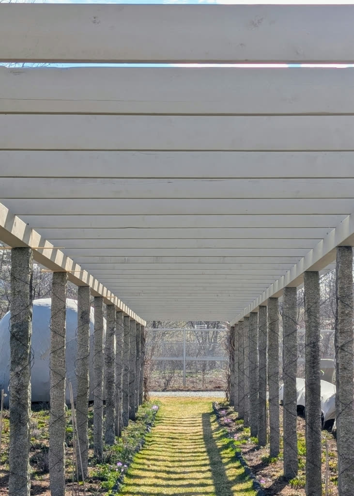 The finished pergola forming a shaded allée over a mown grass path between rows of granite posts
